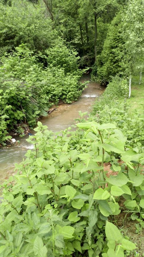 Cottage Forest Stream Visoko Exterior foto