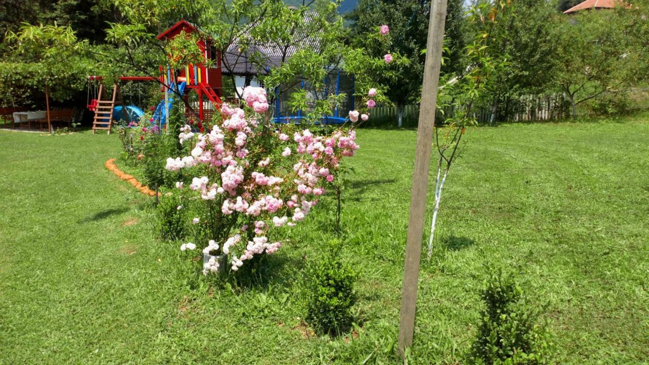 Cottage Forest Stream Visoko Exterior foto